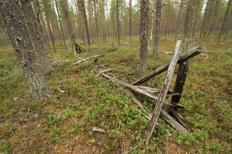 Poroaita, Kemijärvi Ala-Askanjärvi
