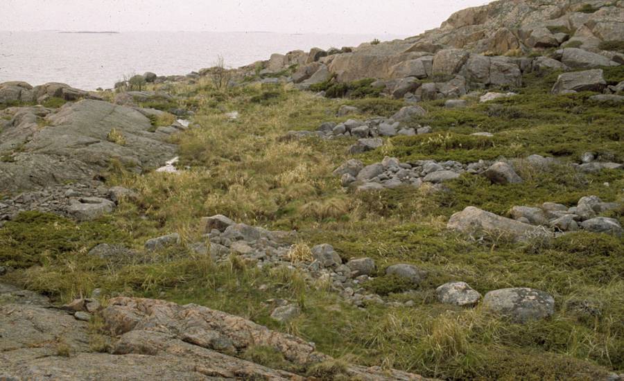 Kalastuskari, Parainen Enharu