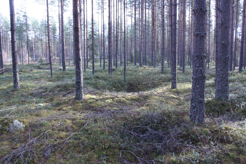 Pyyntikuoppa, Utajärvi Vähäojantie