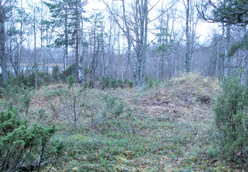 Kalkkiuunin jäännökset, Kemi Ajos Takalahti