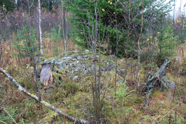 Kiuas, Ähtäri Hakola