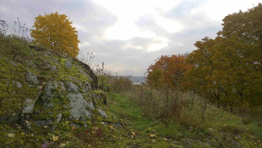 Esilinna, Porvoo Husholmen