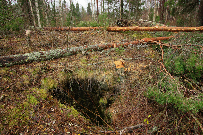 Höyrysaha, Pudasjärvi Petäjäkangas