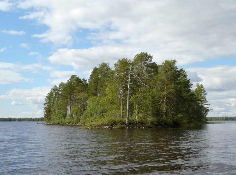 Hautasaari, Ranua Välttämönselkä