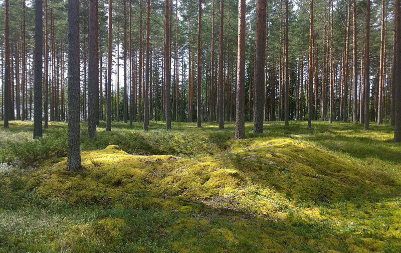 Hiilimiilu, Rautavaara Väätälänniemenkangas