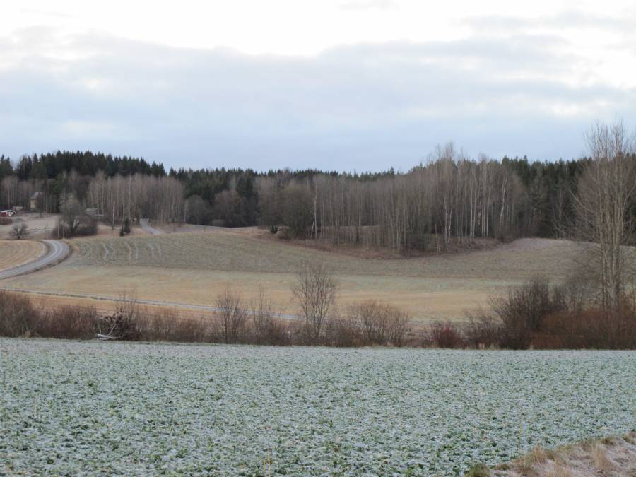 Autioitunut kylämäki, Siuntio Gammelby