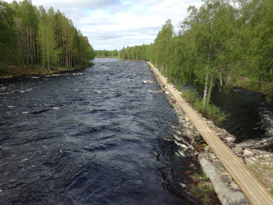 Kivimöljä, Kuhmo Pajakkakoski