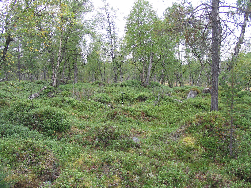 Kotasija, Inari Einehjärvi