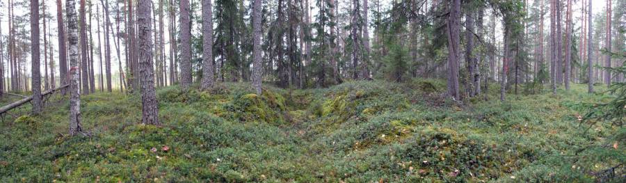 Kalajoen Karsikon tervahauta