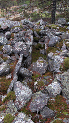 Paasiarkku, Salo Perniö Puolanmäki