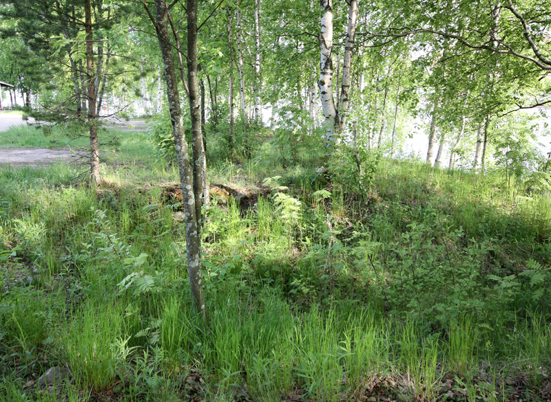 Pikipolttimo, Oulu Kuusisaari