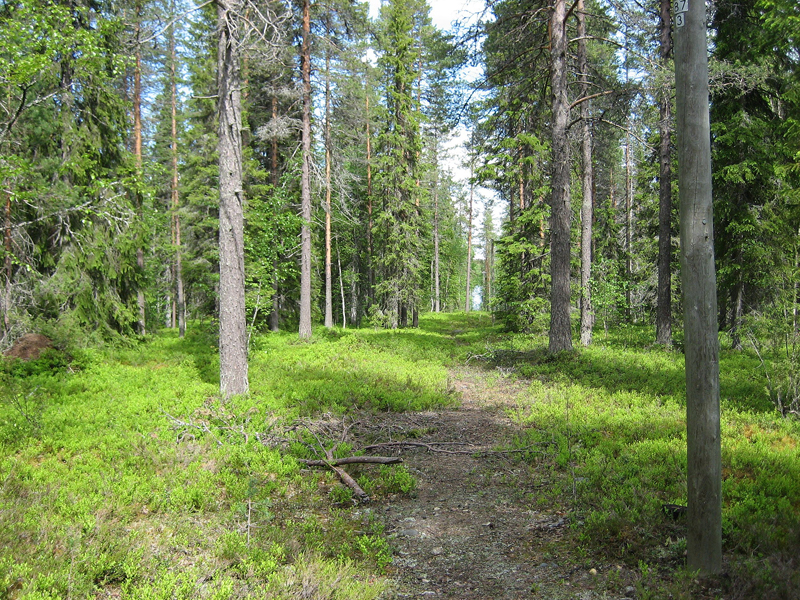 Vienan reitti, Suomussalmi