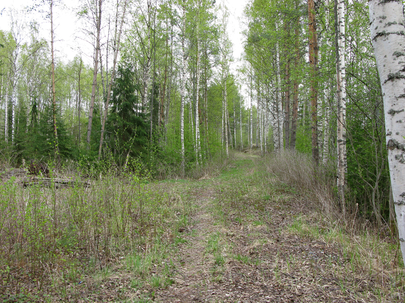 Rautatien pohjaa, Suonenjoki Suihanlahti