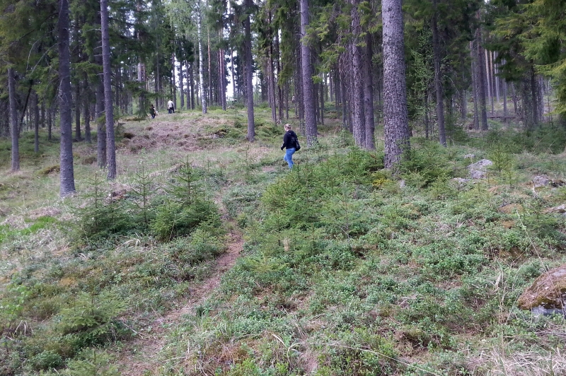 Pronssikautinen asuinpaikka, Nakkila Rieskaronmäki