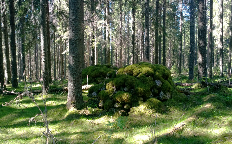 Viljelyröykkiö, Vieremä Kiikkumäki